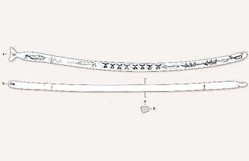 Illustration of the drill bow