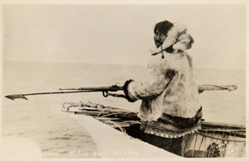 Fig. 3 'Point Barrow Native goes Whaling'. Iñupiaq man posing in the bow of an umiaq, holding a harpoon. 