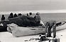 Fig. 1 Umialik Elijah Rock (front) and his crew butchering a bowhead whale (Balaena mysticetus). 